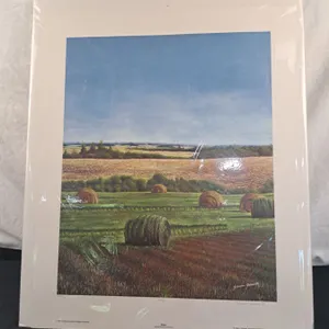 Unframed Print - "Bales" - Artist German Jaramillo