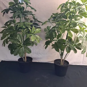 2 Artificial Plants
