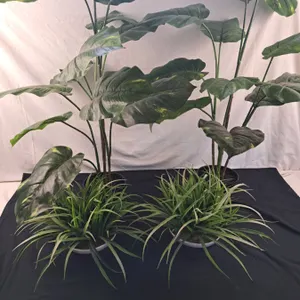 Assorted Artificial Plants
