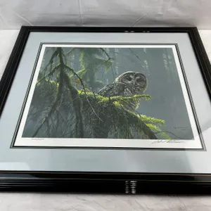 "Mossy Branches - Spotted Owl"