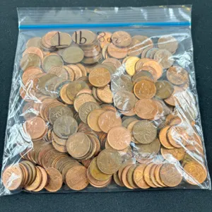 Bag of Assorted Pennies