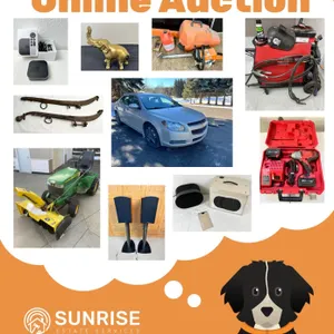 Online Auction