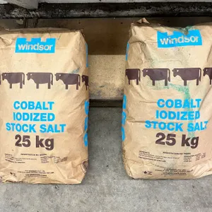 Windsor Cobalt Iodized Stock Salt