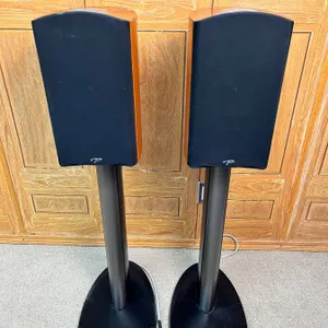 2 Paradigm Studio Tower Speakers
