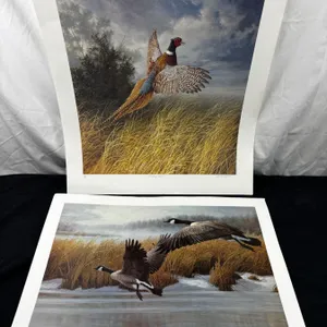 Marla Wilson Art Prints