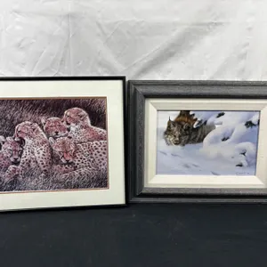Framed Artwork