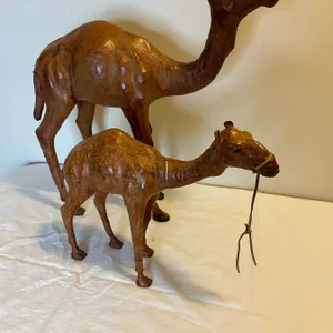 2 Camels