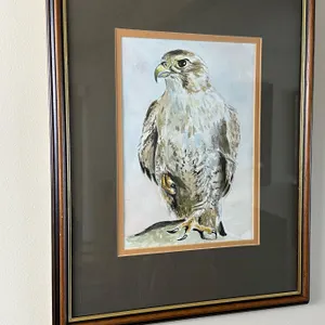 Framed Arabic Watercolor - sketch - Falcon