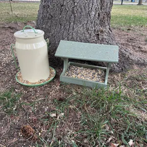 Bird Feeders