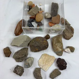 Rocks & Minerals