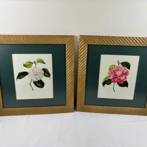 Pair of Floral Prints