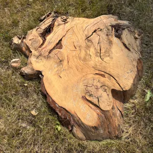 Live Edge Wood Slab