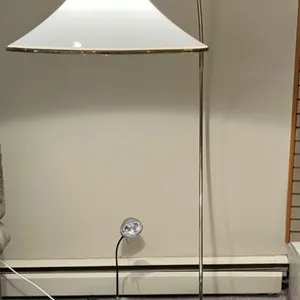 Floor Lamp and a Desk Lamp