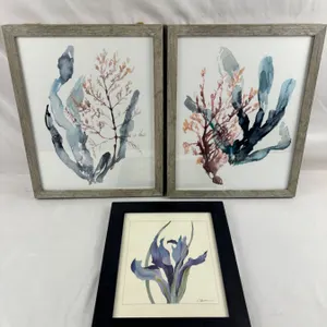 Framed Watercolour Prints
