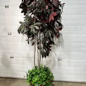 Potted Artificial Tree