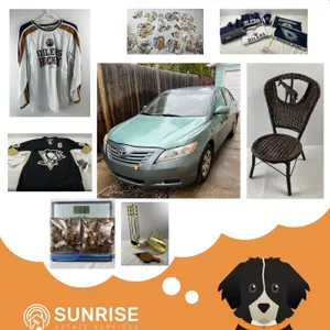 Online Auction