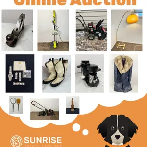 Online Auction