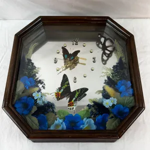 Preserved Butterfly Clock