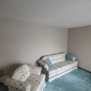 Couch and Chair Set