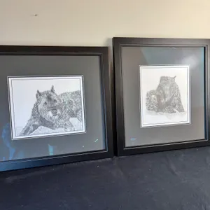 Framed Photos