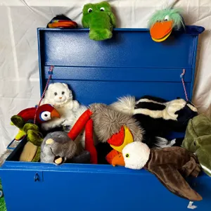 Toy Trunk with Puppets