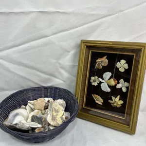 Seashells and rock art