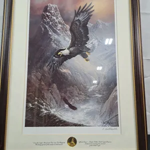 "To Save the Eagle, Proud and Free"