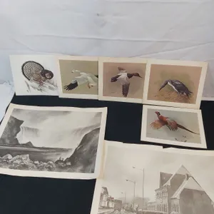 Carling Brewers Cards and Prints