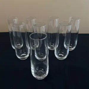 Stemless Champagne Flutes