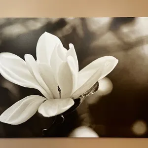 Signed Floral Canvas Print