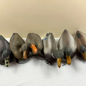 Mallard Drake hunting ducks