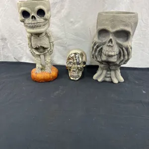 Skull Decor