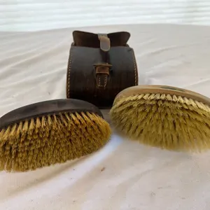 Vintage brushes with case