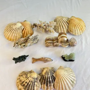 Stone & Shell Décor