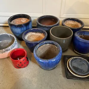 Assorted Flower Pots
