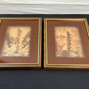 2 Framed Shadow Box Foliage Arrangements
