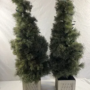 Potted Christmas Trees