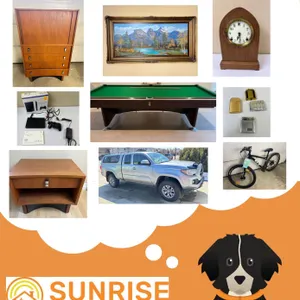 Online Auction
