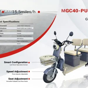 2026 MGC40-PURPLE Electric Mini Golf Cart (Unused)