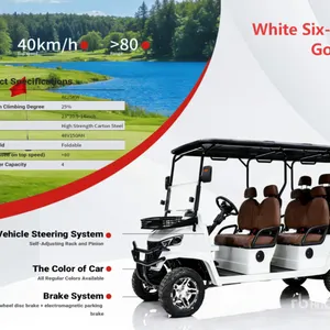 2026 Electric White Six-Seater Golf Cart (Unused)