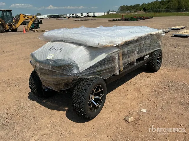 2026 Electric Golf Cart (Unused)