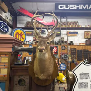 WHITETAIL DEER SHOULDER MOUNT