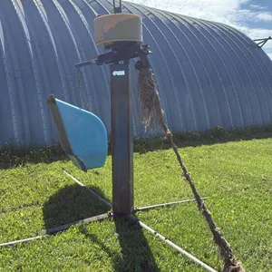 Cattle oiler with mineral tub (Unti C)