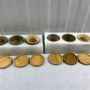 Miniature Succulent Pots