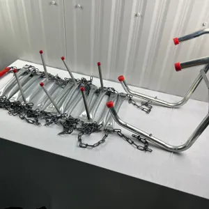 Life Ladder