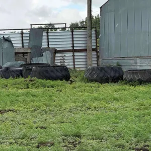 Tire Feeders