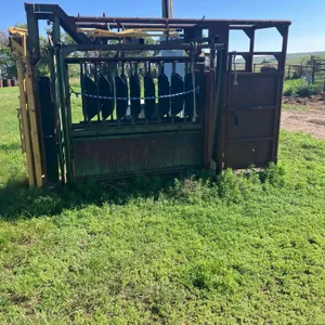 Cattle Working Chute