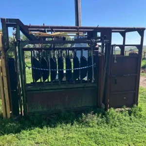 Cattle Working Chute