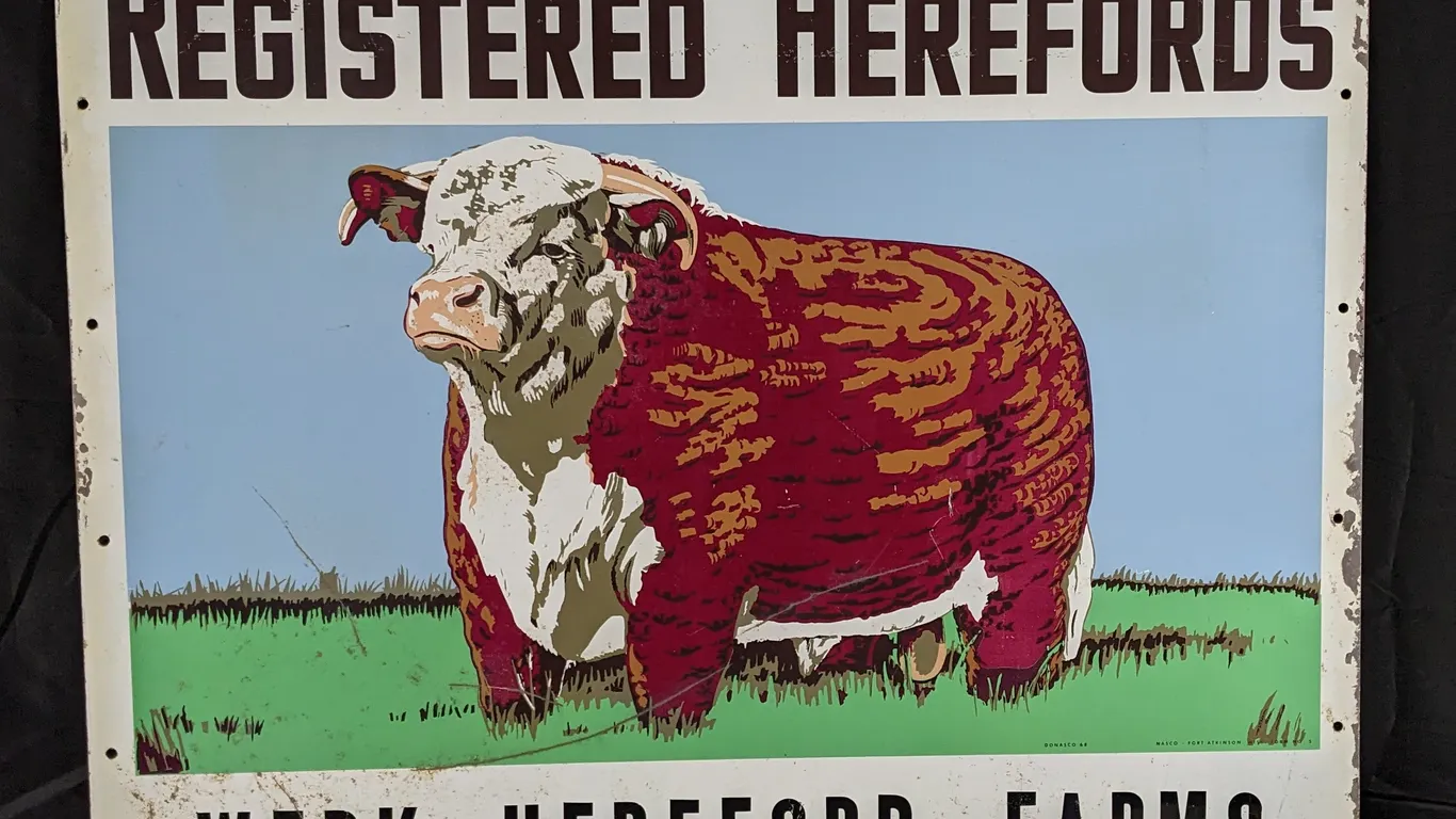 TIN LIVESTOCK COW SIGN REGISTERED HEREFORDS WERK HEREFORD FARM (2 SIDED)
