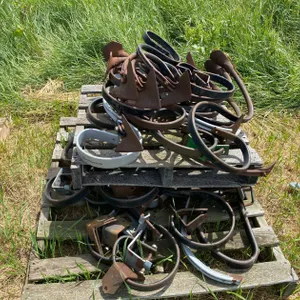 ASSORTMENT OF S TINES
